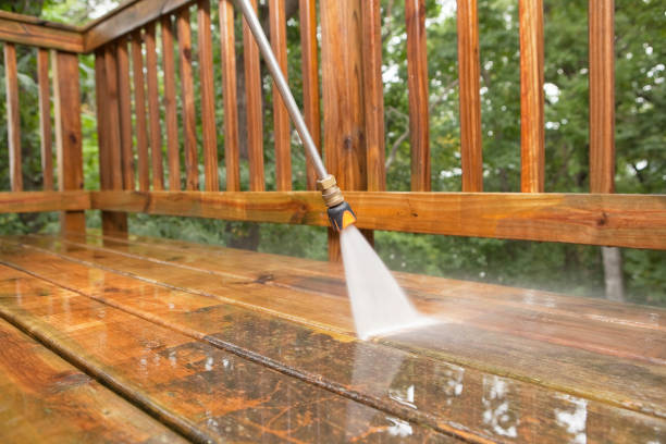 Best Roof Power Washing Services  in Lansing, MI