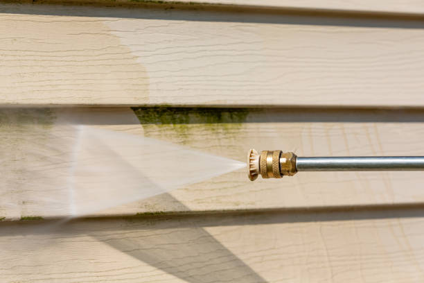 Deck Cleaning Services in Lansing, MI